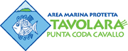 AMP Tavolara